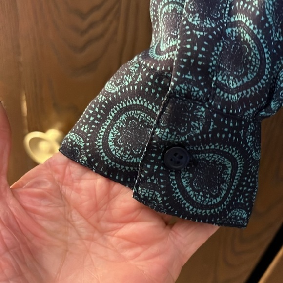 The Limited long sleeved, sheer blouse. Button down front. Size Small. - Picture 4 of 10